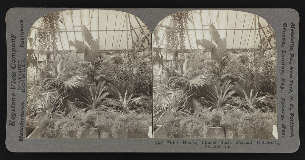 Palm House, Illinois State Normal University, Normal, Ill.